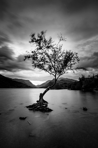Black and white Beautiful landscape image of Llyn Padarn at sunrise in Snowfonia National Park