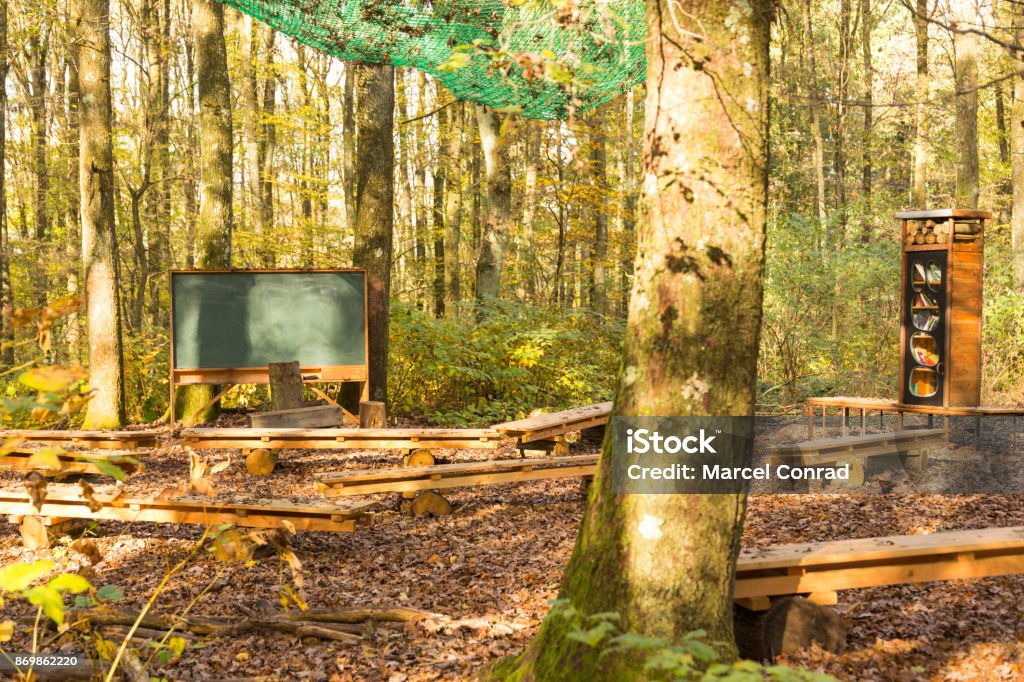 outdoor class room in forest with chalk board and wooden benches for students on tree logs and bookshelf with trees as backdrop empty outdoor class room in forest with blank classic green chalk board, book shelf and school desks and benches for students with trees as backdrop and brown autumn color leaves on ground Autumn Stock Photo