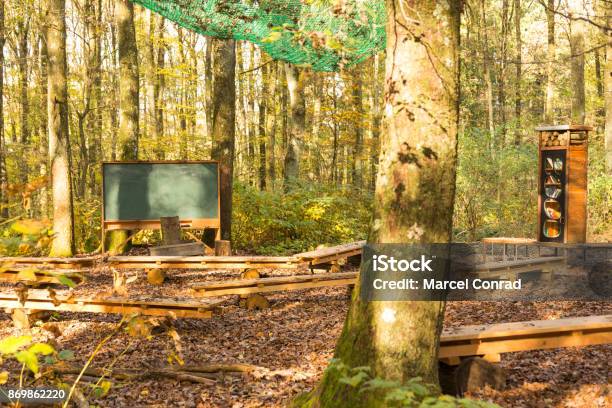 Outdoor Class Room In Forest With Chalk Board And Wooden Benches For Students On Tree Logs And Bookshelf With Trees As Backdrop Stock Photo - Download Image Now