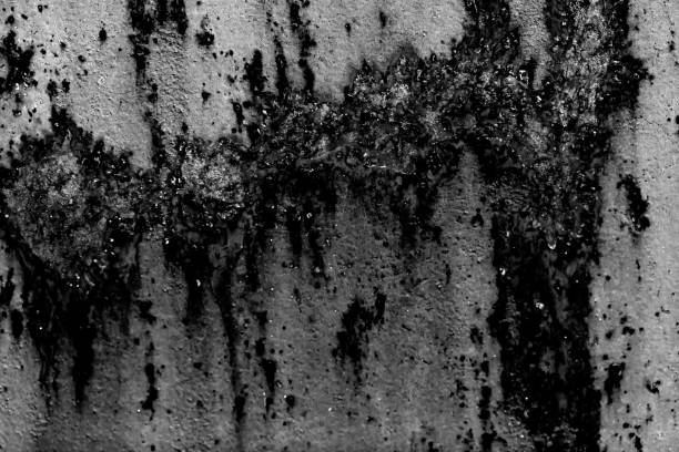 rost grunge hintergrund oder textur lackiert. - peeling paint abandoned old stock-fotos und bilder