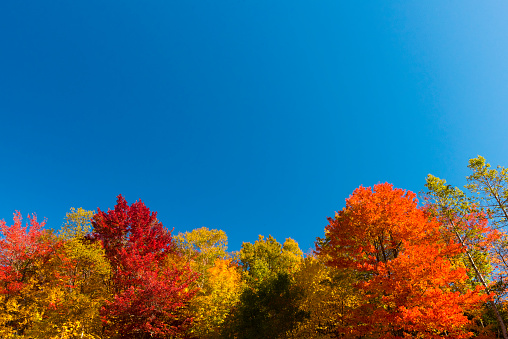 Indian Summer in New England, USA