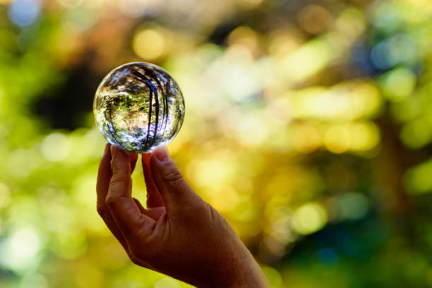 boule de cristal, beau fond de forêt automne canadien - transparent crystal crystal ball human hand photos et images de collection