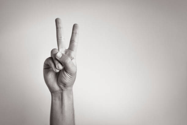 Number two Hand showing number two peace sign gesture photos stock pictures, royalty-free photos & images