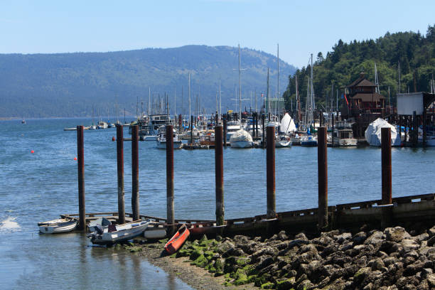 istock Picturesque Waterfront Village On Vancouver Island 869876288