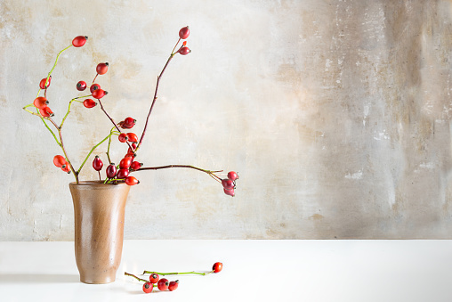 Rosehip branches in a stoneware vase on a white table in front of a vintage wall, natural beautiful autumn decoration with copy space