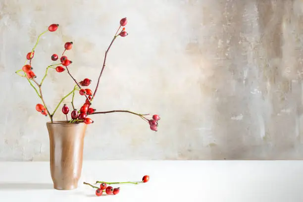 Photo of Rosehip branches in a stoneware vase on a white table in front of a vintage wall, natural beautiful autumn decoration with copy space