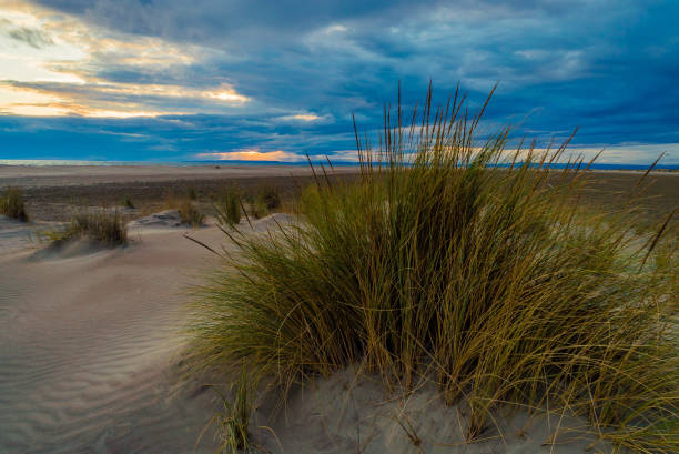 istock Espiguette beach in France 869898918