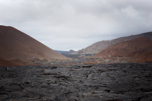 A scenic view of one of the many lava fields on Bartomome Island.  Bartolome is one of the youngest islands in the Galapagos and displays a fantastic landscape of lava formations.