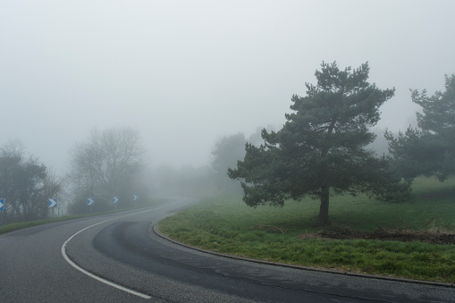 Foggy asphalt curved road passing through the forest. Weather with low visibility in the region of Normandy, France. Country landscape on misty day. Toned.