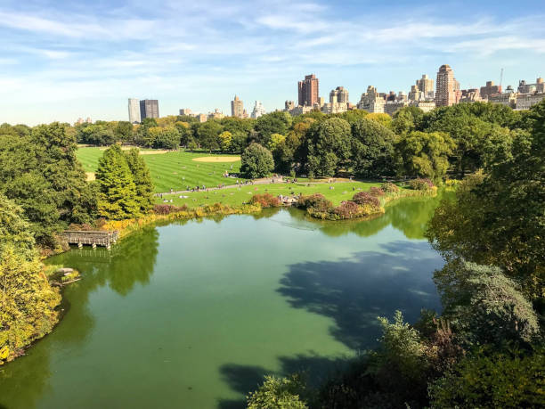 istock Turtle Pond as seen from Belvedere Castle in Central Park 869916270