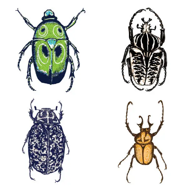 Vector illustration of Colour Insect stipple drawing set isolated. Insects and bugs collection in trendy embroidery stippling and hatching, shading style. Vector.