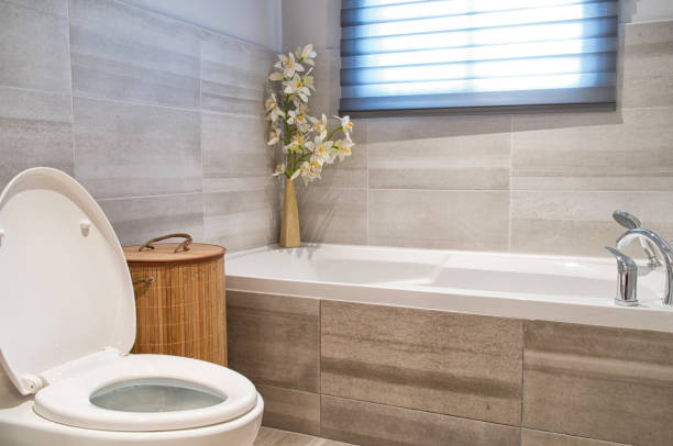 istock Modern bathroom in luxury house 869922674