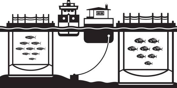 Sea cage fish farming Sea cage fish farming - vector illustration fish farm icon stock illustrations