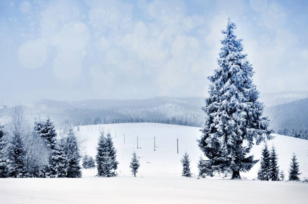 istock Winter landscape with snowy trees and snowflakes 869926422
