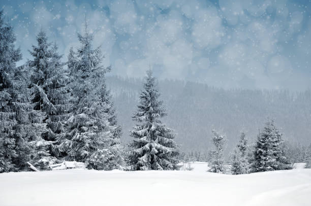 istock Winter landscape with snowy trees and snowflakes 869926436