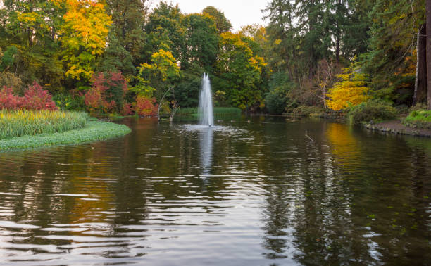 The fountain at Freedom Park in Charlotte, North Carolina during the fall season