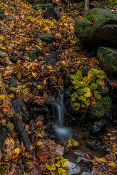 istock Nemecsky creek in Prucelska valley in autumn evening with color leafs 869929454