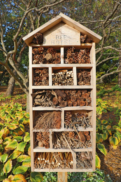 istock Bee hotel and garden in autumn 869930252