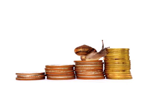 istock Snail climbing the pile of coins 869933348