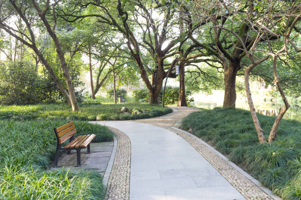 istock way in park in morning 869933602