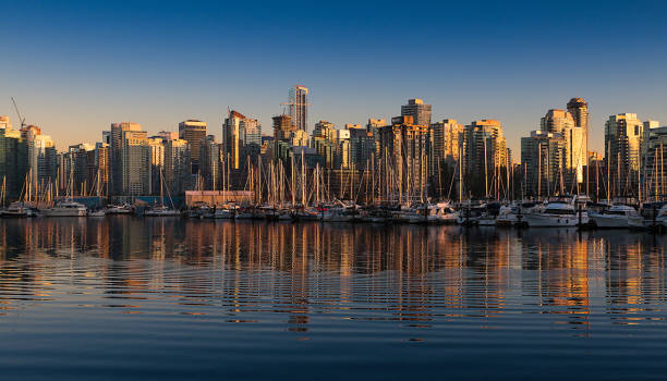 istock Dusk of Stanley Park 869946920