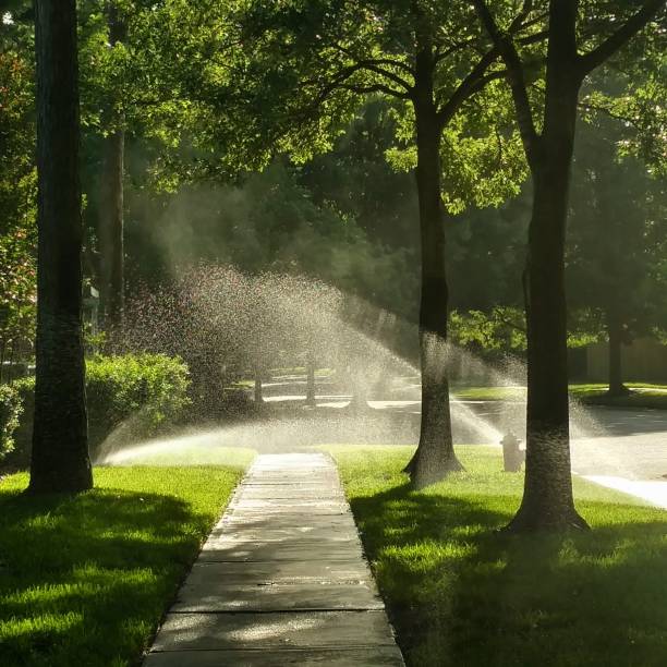 Morning Sunlight through Sprinklers stock photo