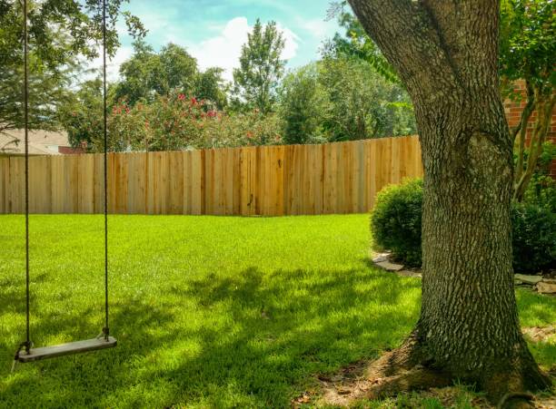 그늘에서 스윙 - garden fence 뉴스 사진 이미지