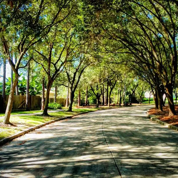 Photo of Treelined Park Center Drive