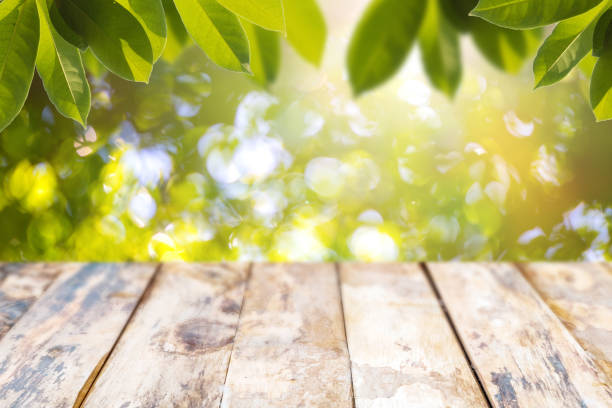 istock Natural blurred bokeh green leaves and wooden table. 869960680