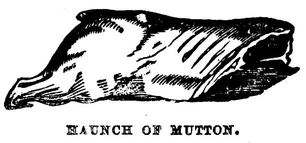 illustrazioni stock, clip art, cartoni animati e icone di tendenza di illustrazione vittoriana di un haunch di montone; tagli di carne per la casalinga del xix secolo e cucinare; completo di testo; da mrs beeton's cookery book 1899 - haunch