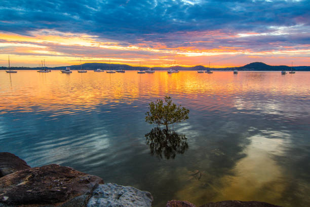 Brisbane Water - Taken at Koolewong, Central Coast, NSW, Australia