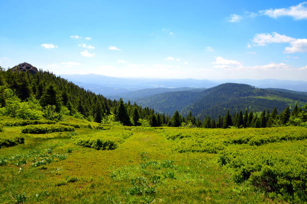 Summit of mountain Grosser Arber in National park Bavarian forest, Germany.