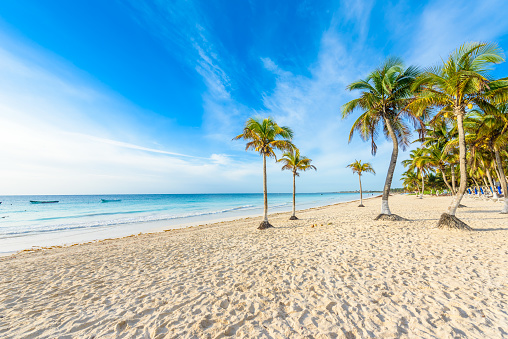 Playa Paraíso también se llama Playa Paraiso al amanecer - hermosa costa Caribe tropical de Tulum en Quintana Roo, Riviera Maya, México photo