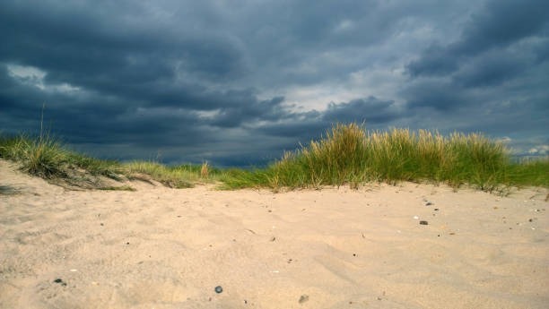 The approaching storm cloud on the beach with dunes and pure white sand stock photo
