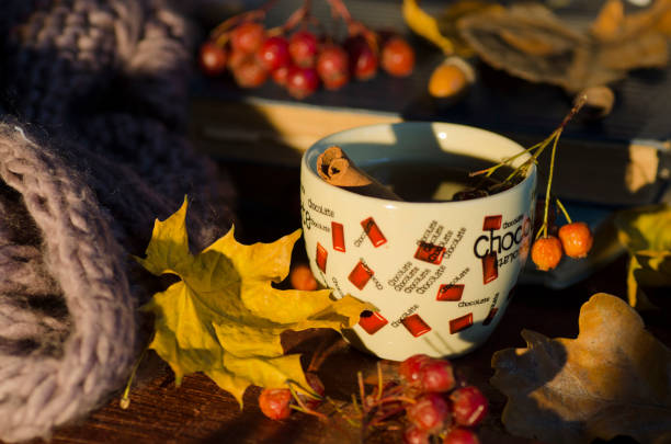 Cup of tea and autumn leaves, nuts, and berries This photo shows us cup of tea and autumn leaves, nuts, and berries.November 02, 2017, Russia, Moscow. This photo shows us cup of tea and autumn leaves, nuts, and berries. кружка stock pictures, royalty-free photos & images