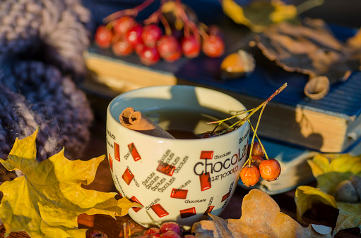 Cup of tea and autumn leaves, nuts, and berries