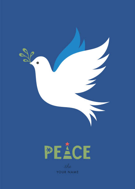 Christmas Dove_04 Peace Dove with branch. Merry Christmas and winter holidays card design. Vector illustration. dove bird stock illustrations