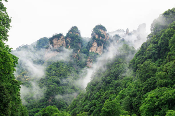 Avatar Hallelujah Mountain Sunset casting a warm glow over the Zhangjiajie National Forest Park in Hunan, China, highlighting the breathtaking Hallelujah Mountains and their stunning geological formations