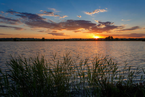 istock Summer landscape. Sunset over water. 870005284