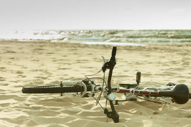 istock Bike lying on sandy beach during sunset weather 870013392