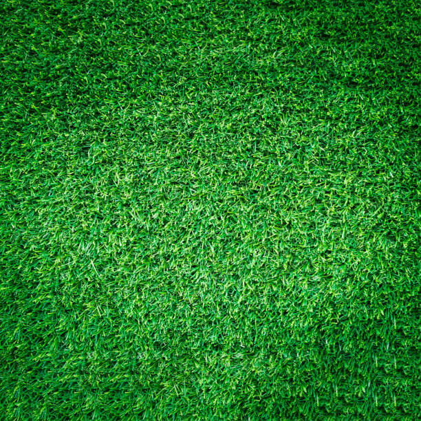 istock Artificial green grass texture or green grass background for golf course. soccer field or sports background concept design. 870027260