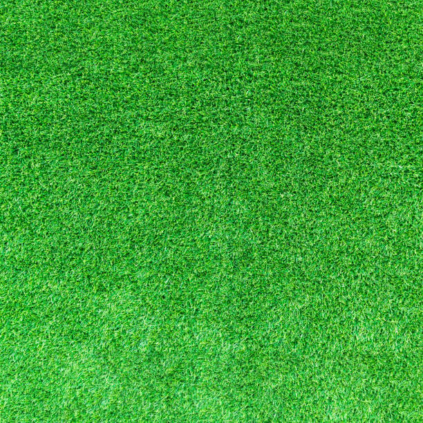 istock Artificial green grass texture or green grass background for golf course. soccer field or sports background concept design. 870027268