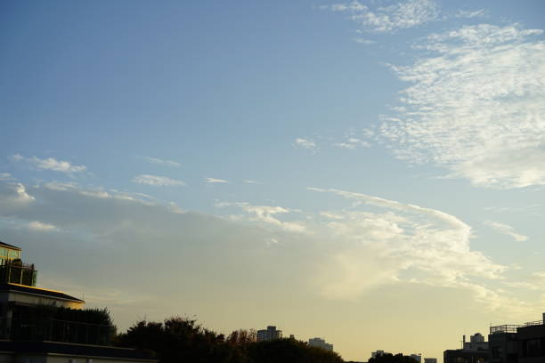 istock Sky of Tokyo 870027560