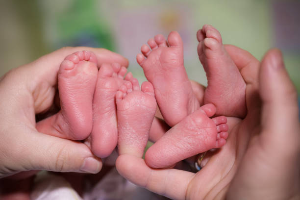 uma mãe está segurando nos pés mãos de bebê recém-nascido trigêmeos. - multiple birth - fotografias e filmes do acervo