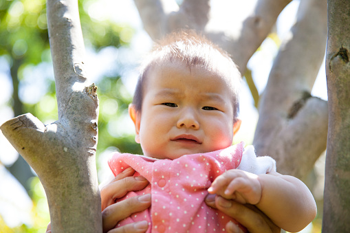 Japanese baby girl sitting on tree