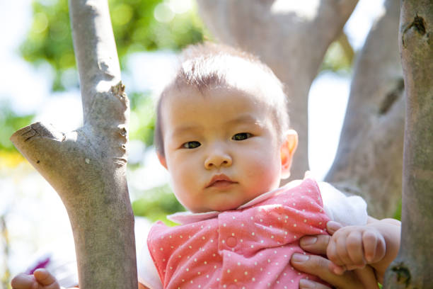 istock Japanese baby girl sitting on tree 870035986
