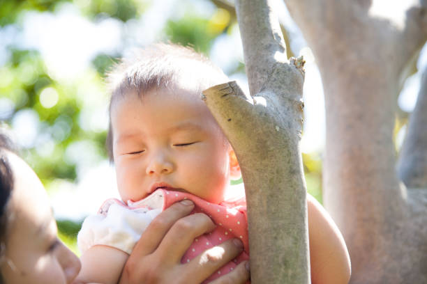 istock Japanese baby girl sitting on tree 870036092