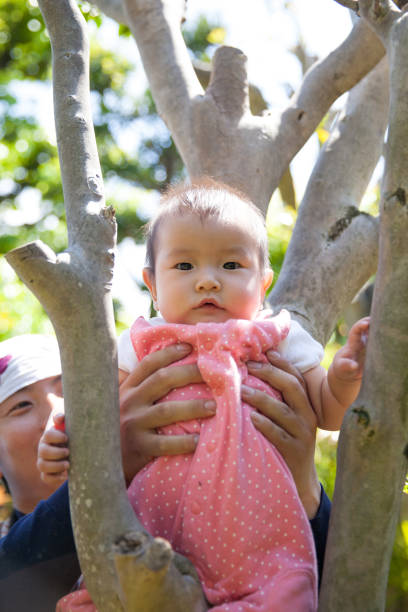 istock Japanese baby girl sitting on tree 870038294