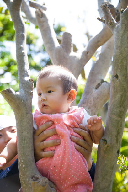istock Japanese baby girl sitting on tree 870040544
