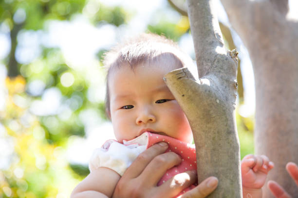 istock Japanese baby girl sitting on tree 870040642